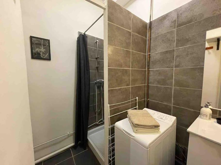 La Grande Cote Apartment Lyon Bagian luar foto